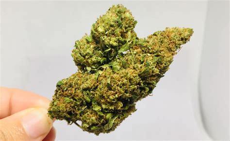 Order flowers with free next day delivery and delight buy flowers online. Where To Buy CBD Hemp Buds In The UK (Updated 2019)