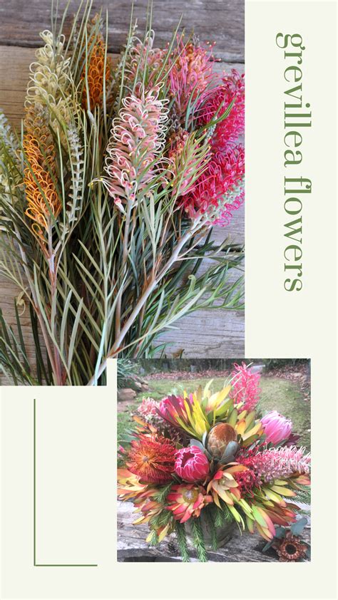 Check spelling or type a new query. Grevillea Flowers | Beautiful flowers garden, Unusual ...