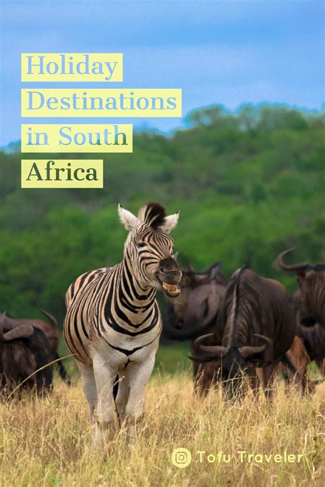 Holiday Destinations In South Africa — Tofu Traveler