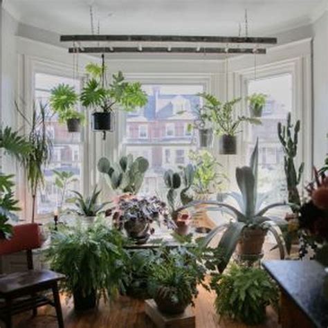 20 Lovely Window Design Ideas With Plants That Make Your Home Cozy