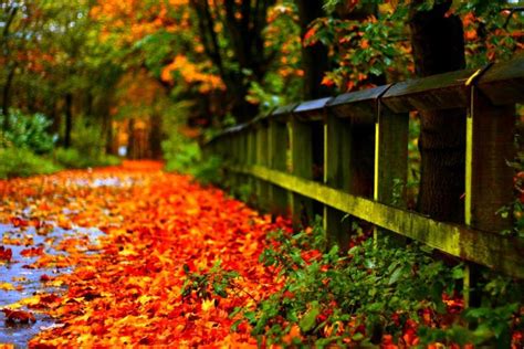 Autumn Wallpaper Hd ·① Download Free Wallpapers For Desktop Mobile