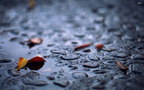 Falling Rain Wallpapers 69 Images