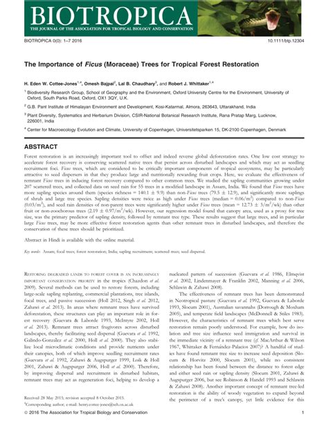 Pdf The Importance Of Ficus Moraceae Trees For Tropical Forest