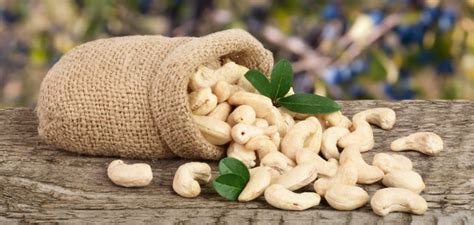 Cashew Nutrition Facts Health Science Bulletin