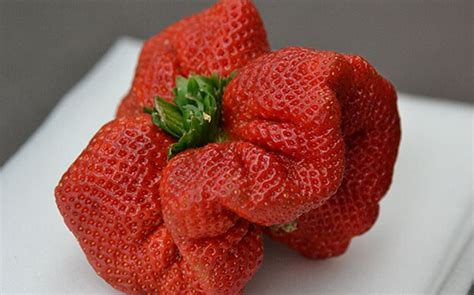 Giant Strawberry In Japan Breaks The Uks World Record