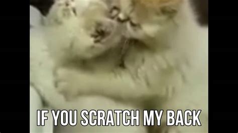 If You Scratch My Back Ill Scratch Yours Youtube