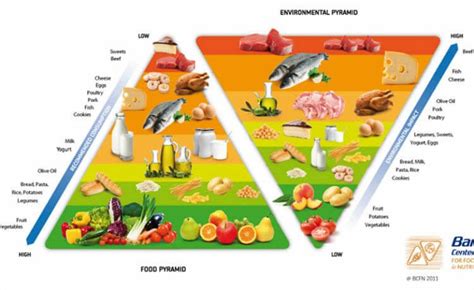 “the Double Pyramid” Método Elenca Alimentos Que Fazem Bem à Saúde E