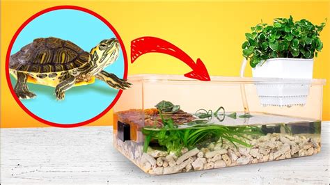 How To Make A Red Eared Slider Turtle Tank