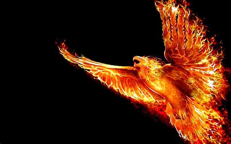 10 Latest Phoenix Rising From The Ashes Wallpaper Full Hd 1920×1080 For
