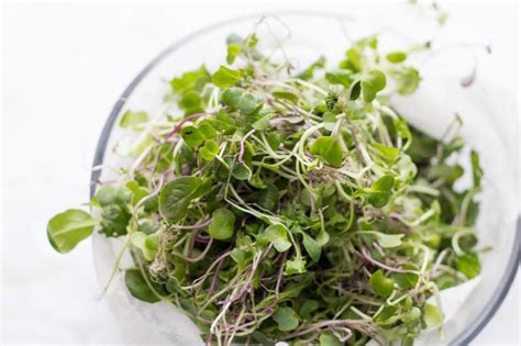 How To Grow Microgreens Indoors Wholefully