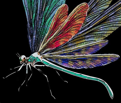 Dragonfly Multi Wing Drawing By Joan Stratton Pixels