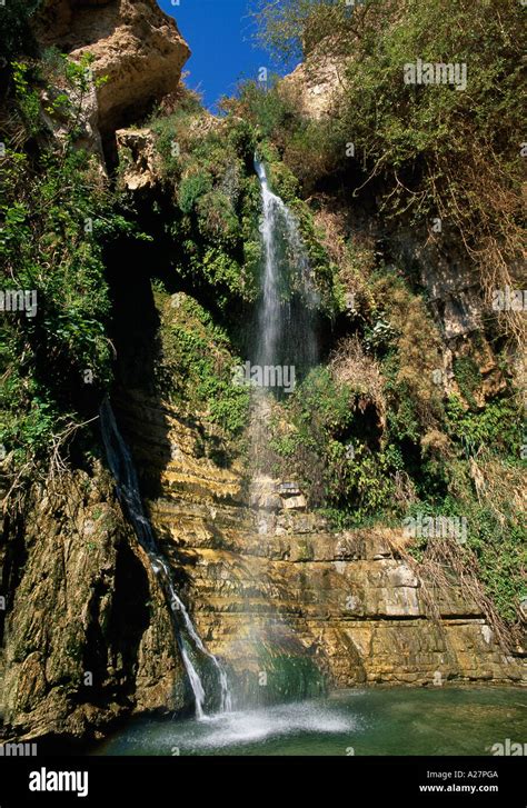 Waterfall Wadi David Ein Gedi Israel Stock Photo Alamy