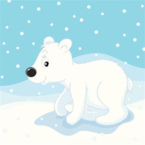 Polar Bear Cub Clip Art Vector Images And Illustrations Istock