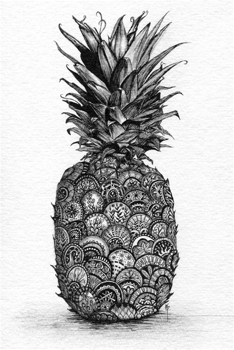 Pineapple Print Of Pen And Ink With Graphite By Kimparkerdesigns
