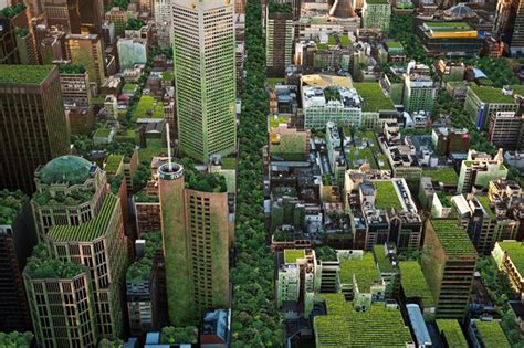 Make Cities Greener And Cooler Australia To Set Goals For Increasing