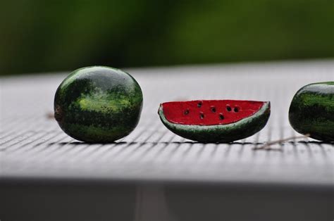 Polymer Clay Miniature Watermelons Set Of 4 Etsy