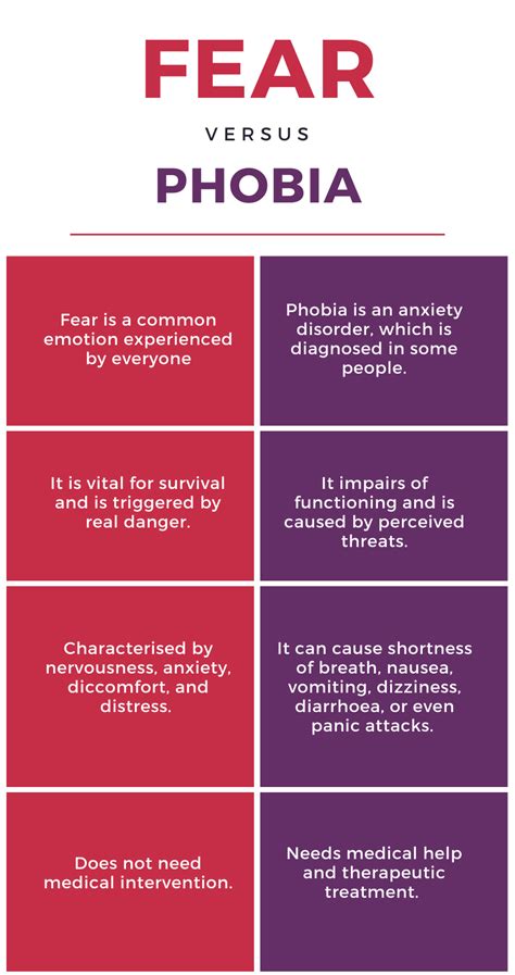 Fear Vs Phobia Whats The Difference