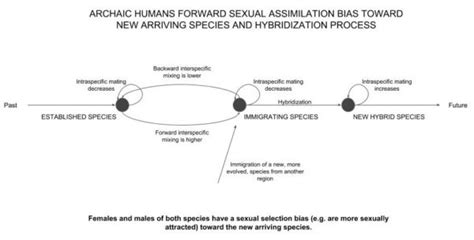 Modeling How Homo Sapiens Prevailed Against Archaic Humans Etherplan