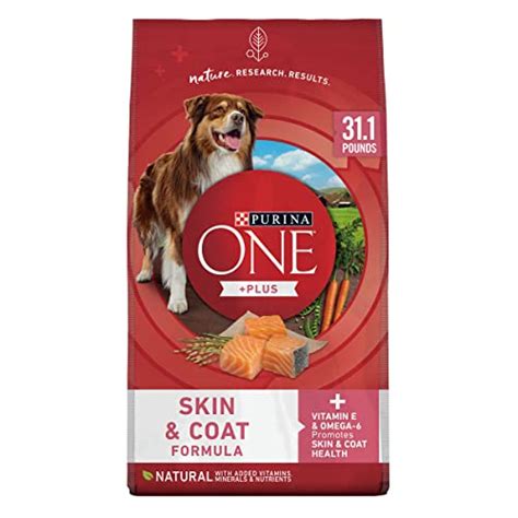 The Best Dog Food For Skin Problems Dogtime