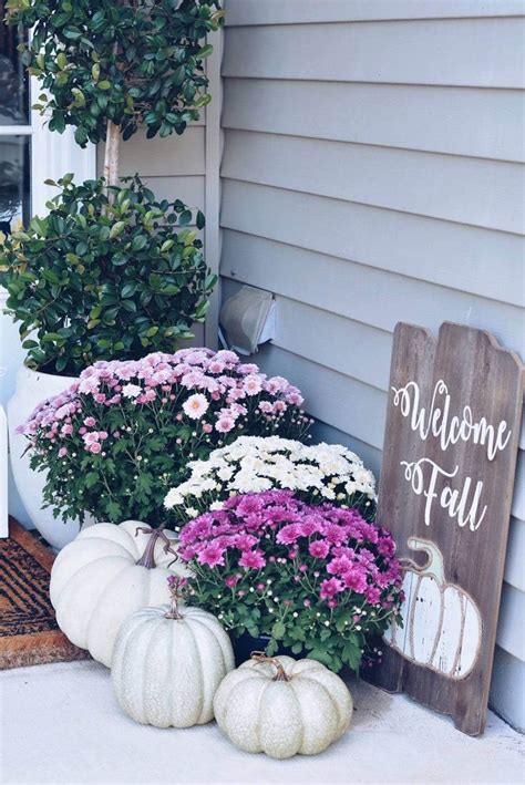Some White Pumpkins And Purple Flowers Are On The Front Porch With A