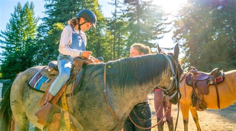 Animals And Equestrian Kennolyn Santa Cruz Mountains Overnight Camp