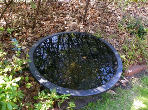 Above ground combination filtration pond. Above-Ground Ponds Are Easy: No Digging Required - Garden.org