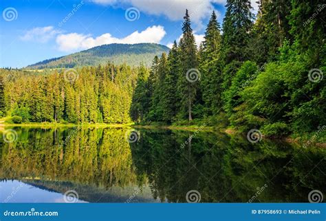 Mountain Lake Among The Forest Stock Image Image Of Cloud Mountain