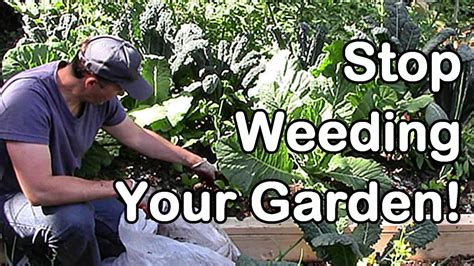 Weeding is one of the least popular jobs to be done in a vegetable garden. Stop Weeding Your Garden! - YouTube