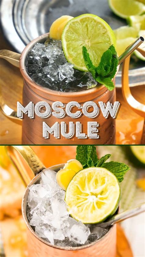 how to make a moscow mule cocktail recipes mule recipe cocktail recipes ginger beer