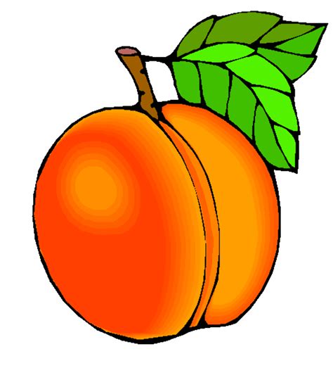 Download High Quality Peach Clipart Drawn Transparent Png Images Art