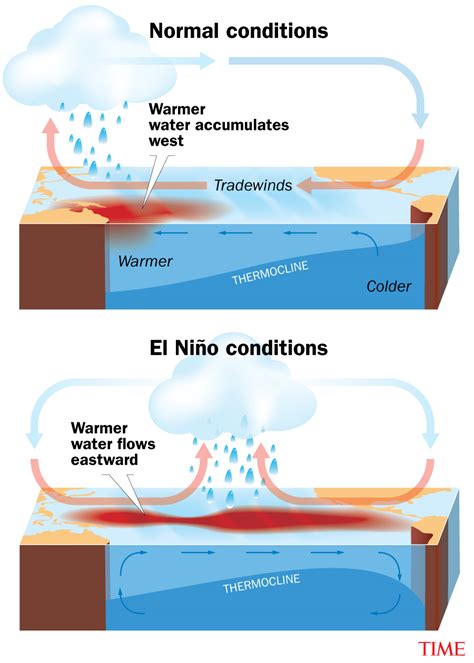 El Niño Has Begun What To Know About The Weather Phenomenon News