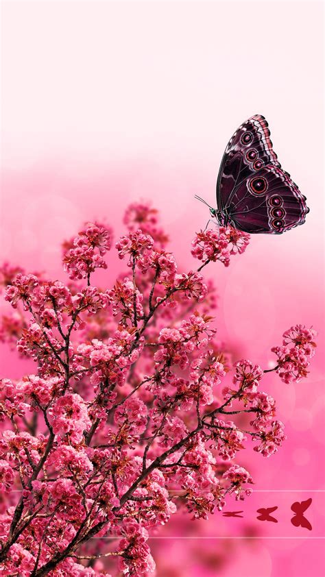 Tap And Get The Free App Lockscreens Art Creative Nature Flowers Butterfly Pink Red Hd Iphone 6