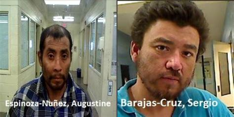 Cbp Convicted Sex Offenders Caught After Sneaking Back Into Us