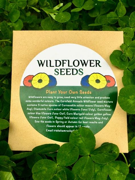 Irish Wildflower Seed Packet Mix Etsy