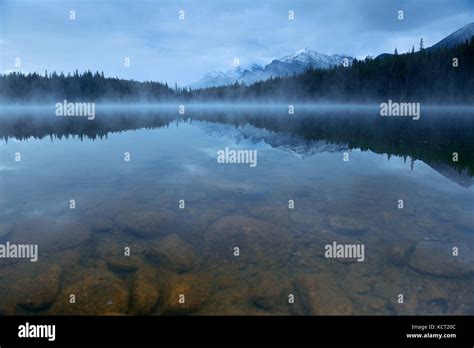 Lake Herbert With Morning Fog Snow Glacier Mountain Stock Photo Alamy