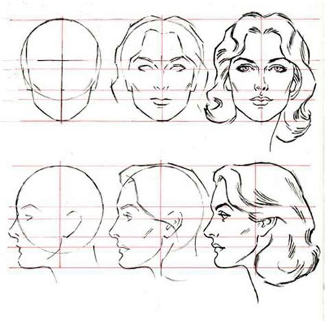 Female Head Drawing Proportions Drawing Heads Figure Drawing