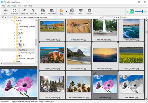 FocusOn Image Viewer 1.20 free download - Download the latest freeware ...