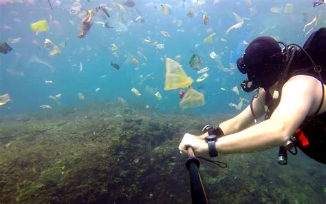 Vivid Underwater Video Shows Exactly What Happens To Our Plastic Trash