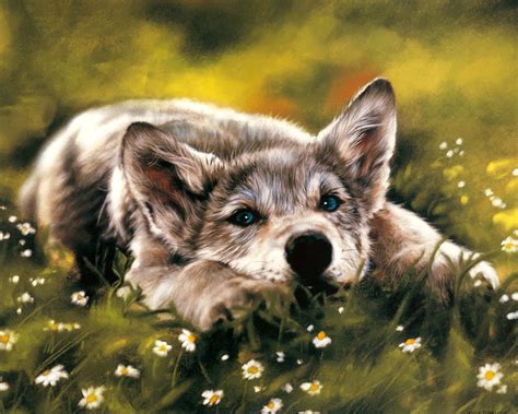 The most beautiful wallpapers for iphone and android. Cool animal wallpapers HD for desktop backgrounds