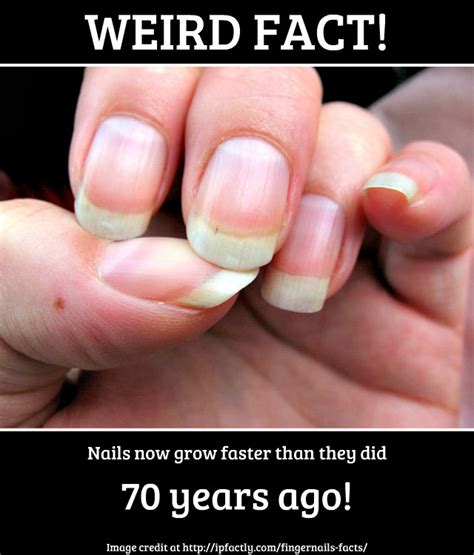 Nails Now Grow Faster Than They Did 70 Years Ago Always Learning