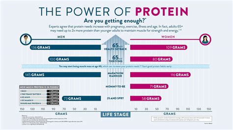 Despite America S Protein Craze Adults Are S Eurekalert
