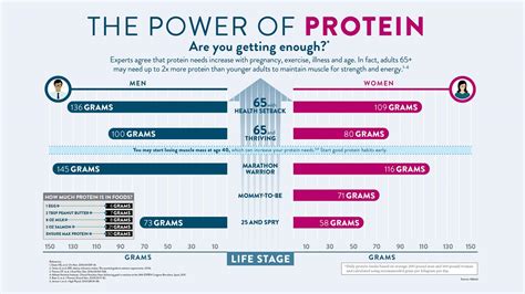 Despite Americas Protein Craze Adults Are S Eurekalert