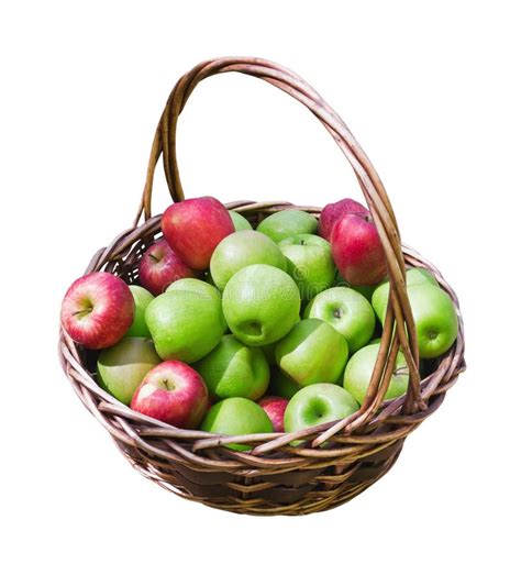 Basket Of Fresh Ripe Apples Stock Photo Image Of Color Freshness