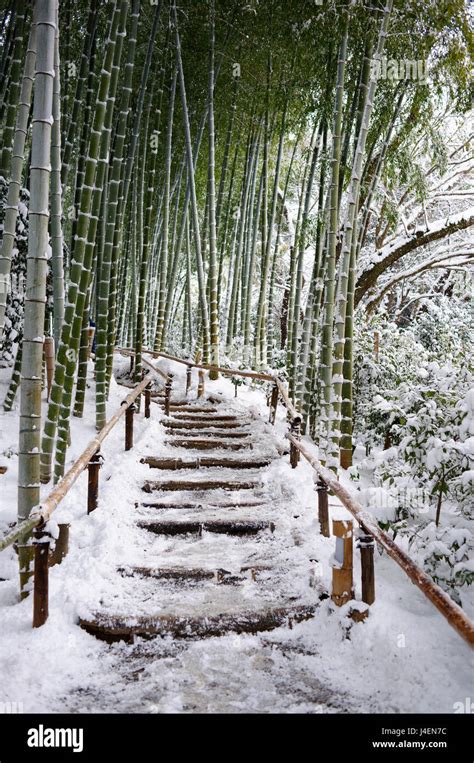 Temple Kyoto Snow Hi Res Stock Photography And Images Alamy