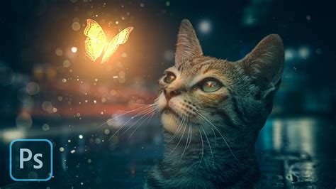 Cat Butterfly Manipulation Photoshop Tutorial Schau Video