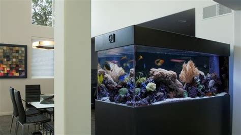 20 Modern Aquariums For Cool Interior Styles Homemydesign Aquários