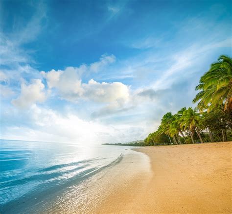 Free Download Hd Wallpaper Beach Sand Sea Palm Trees Clouds