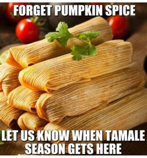 Pin By Harold Laman On Holiday Memes Pumpkin Spice Season Pumpkin