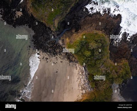 Shot From The Air Sandy Ocean Coast Rocks And Green Coniferous Forest