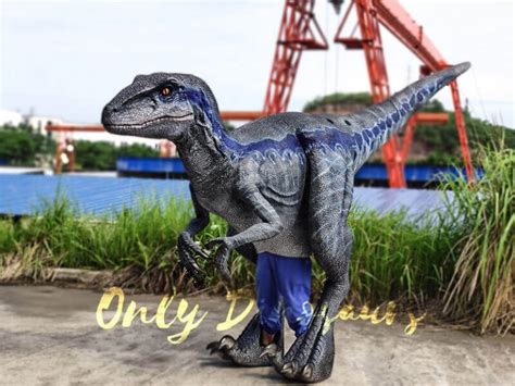 Jurassic Park Velociraptor Costume Blue Only Dinosaurs